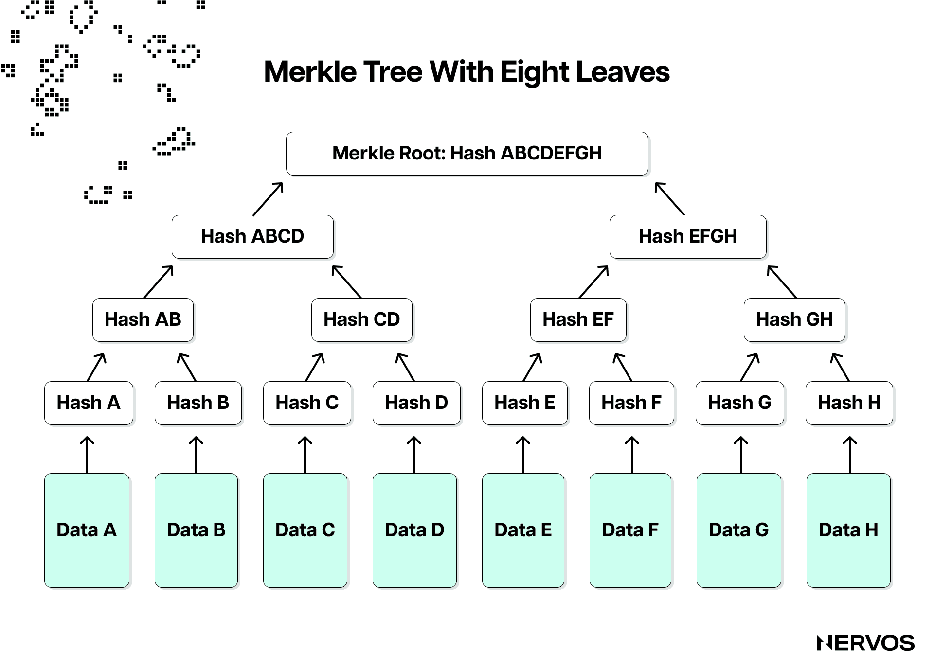 Bitcoin Tree The Ultimate Guide to Blockchain Light Clients